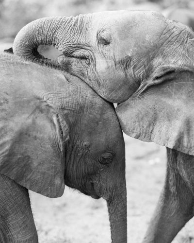 000016080002_c_and_r