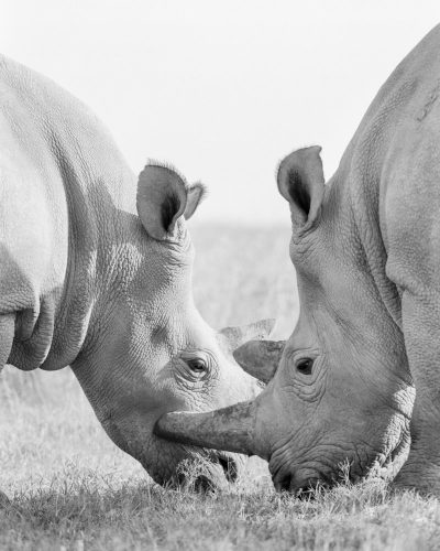 05_bonded000011640010_wc_c_and_r