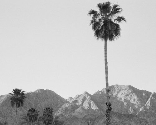 8-KT-Merry-Photography-Palm-Desert-Wedding-e1720020027887